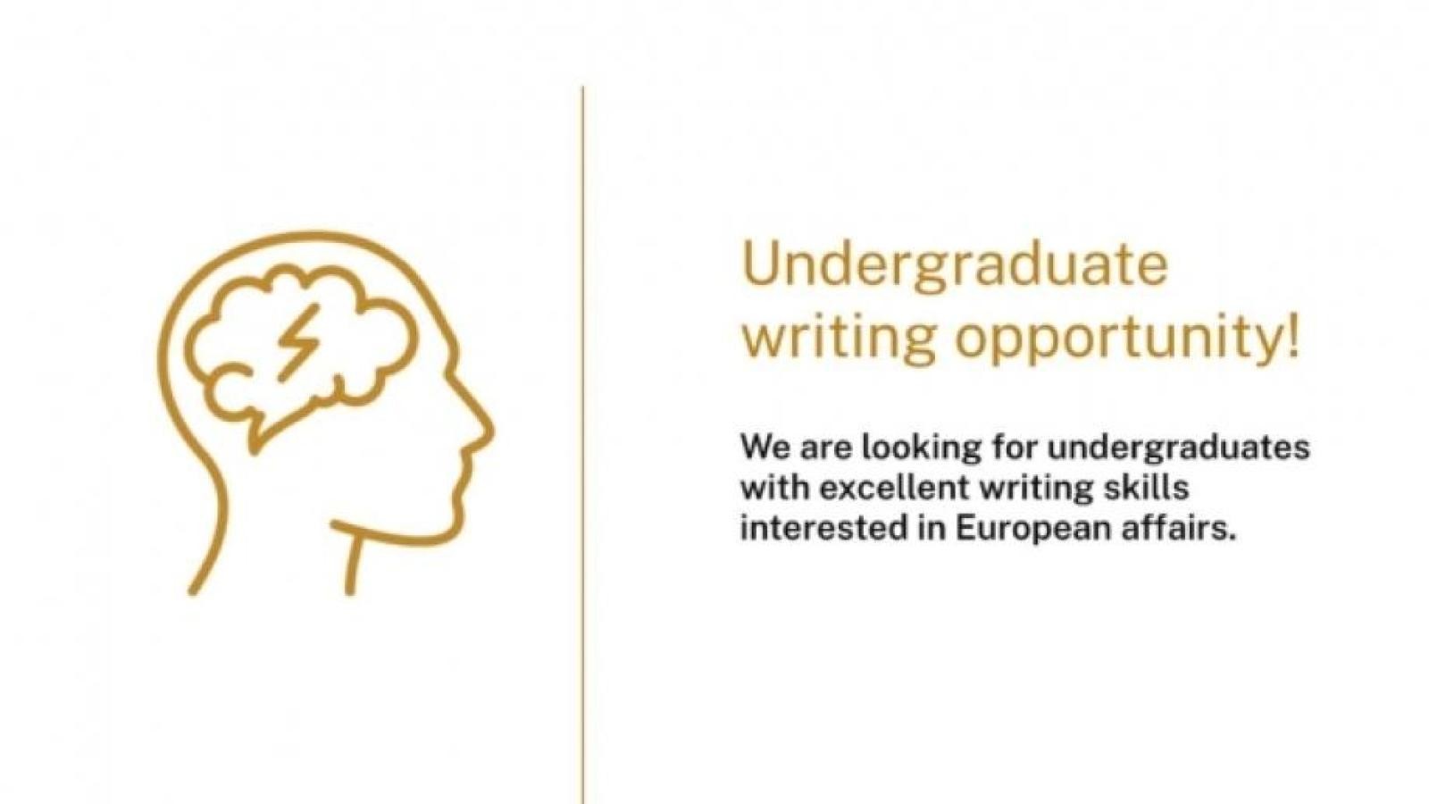 Applications now open to write for the Europe Monitor